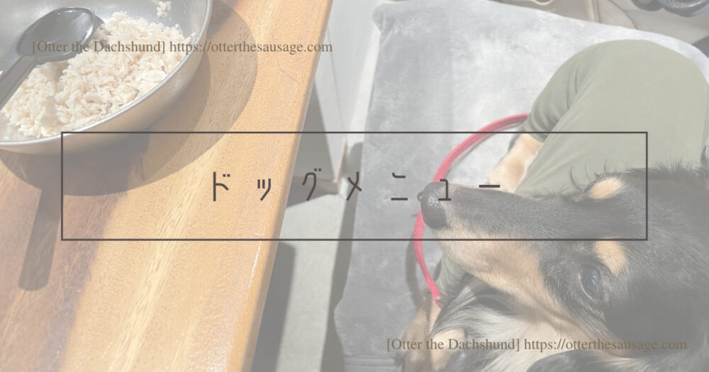 Blog Header image_犬とお出かけ_犬連れお出かけ_犬とカフェ_犬連れカフェ_202212_東京_IMPREST CAFE by anea cafe hatchobori_ドッグメニュー